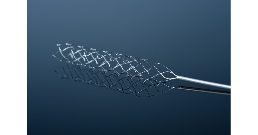STENT RETRIEVER